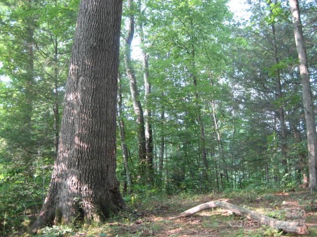 10 Katua Trail Maggie Valley NC 28751