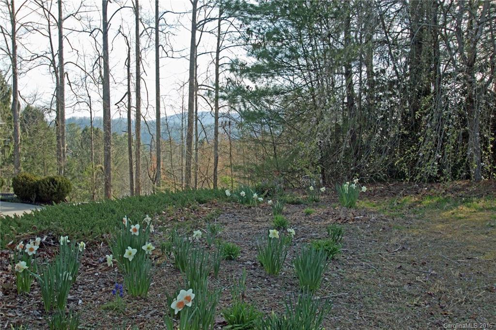 213 Eagle Point Drive Brevard NC 28712