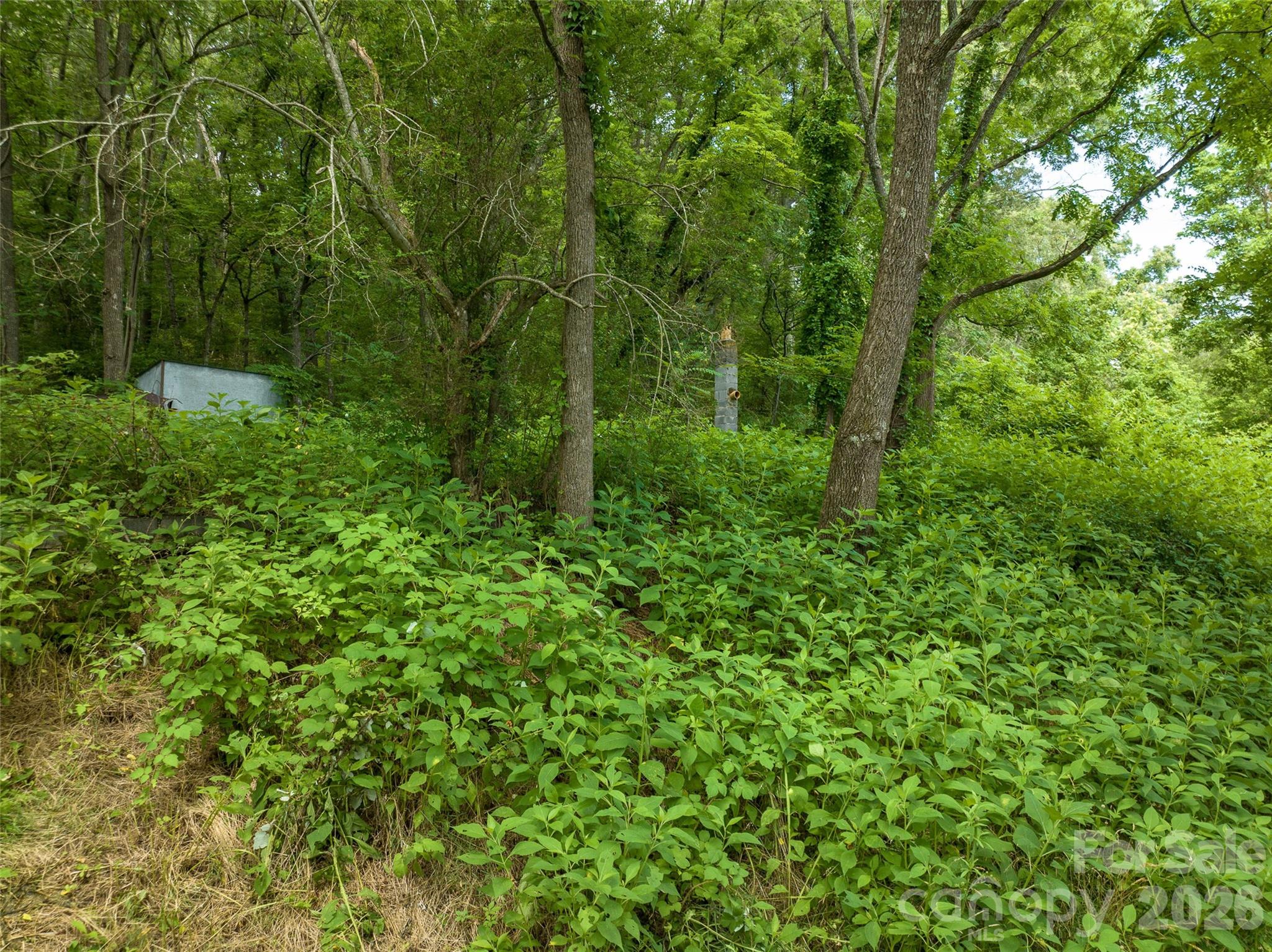 99999 Us 70 Highway Swannanoa NC 28778