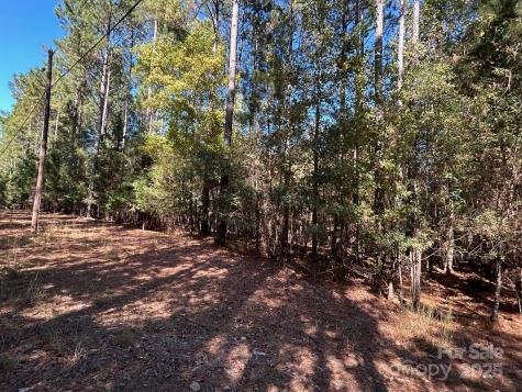5 Ac Ernandez Road Richburg SC 29729
