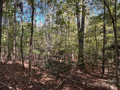 5 Ac Ernandez Road Richburg SC 29729