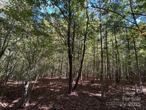 5 Ac Ernandez Road Richburg SC 29729