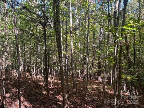 5 Ac Ernandez Road Richburg SC 29729