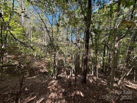 5 Ac Ernandez Road Richburg SC 29729