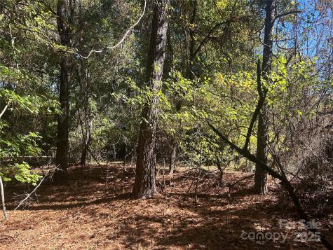 5 Ac Ernandez Road Richburg SC 29729