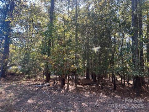 5 Ac Ernandez Road Richburg SC 29729