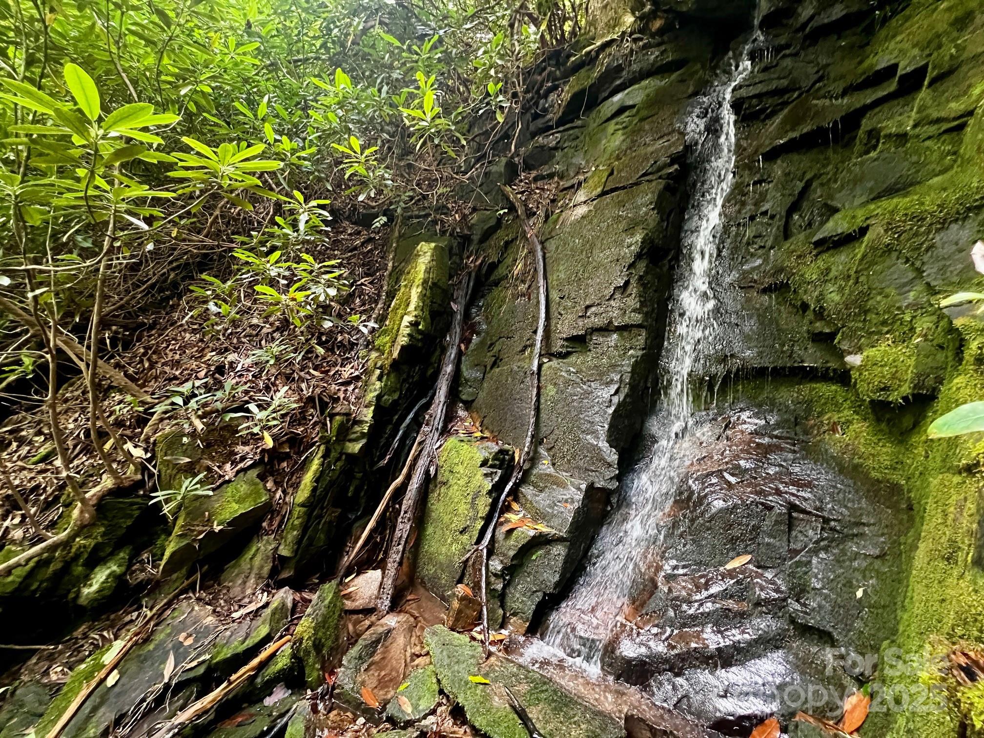 Lot 11 Silver Maple Trail Brevard NC 28712