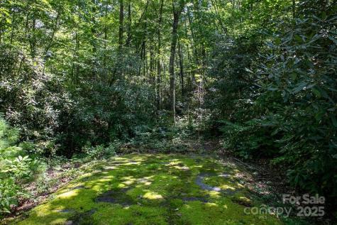 Lot 11 Silver Maple Trail Brevard NC 28712