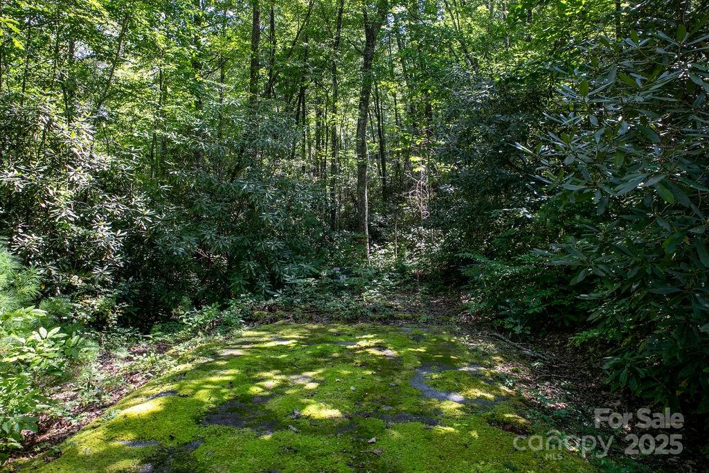 Lot 11 Silver Maple Trail Brevard NC 28712