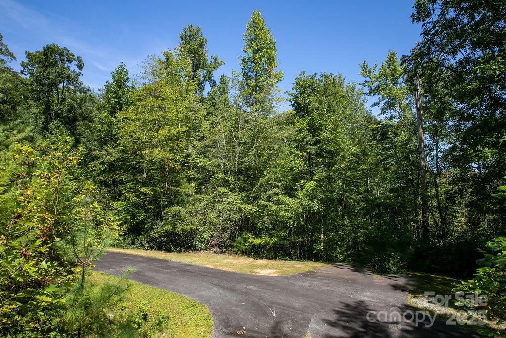 Lot 11 Silver Maple Trail Brevard NC 28712