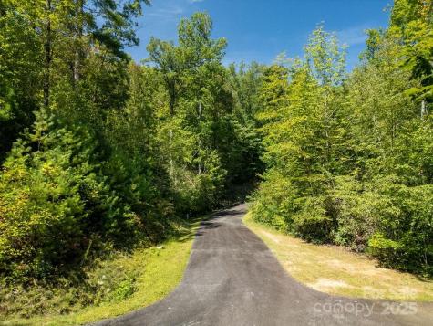 Lot 11 Silver Maple Trail Brevard NC 28712