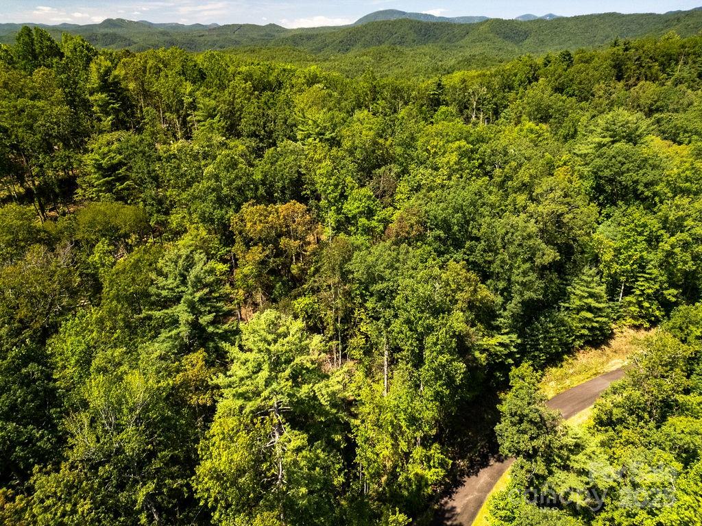 Lot 11 Silver Maple Trail Brevard NC 28712