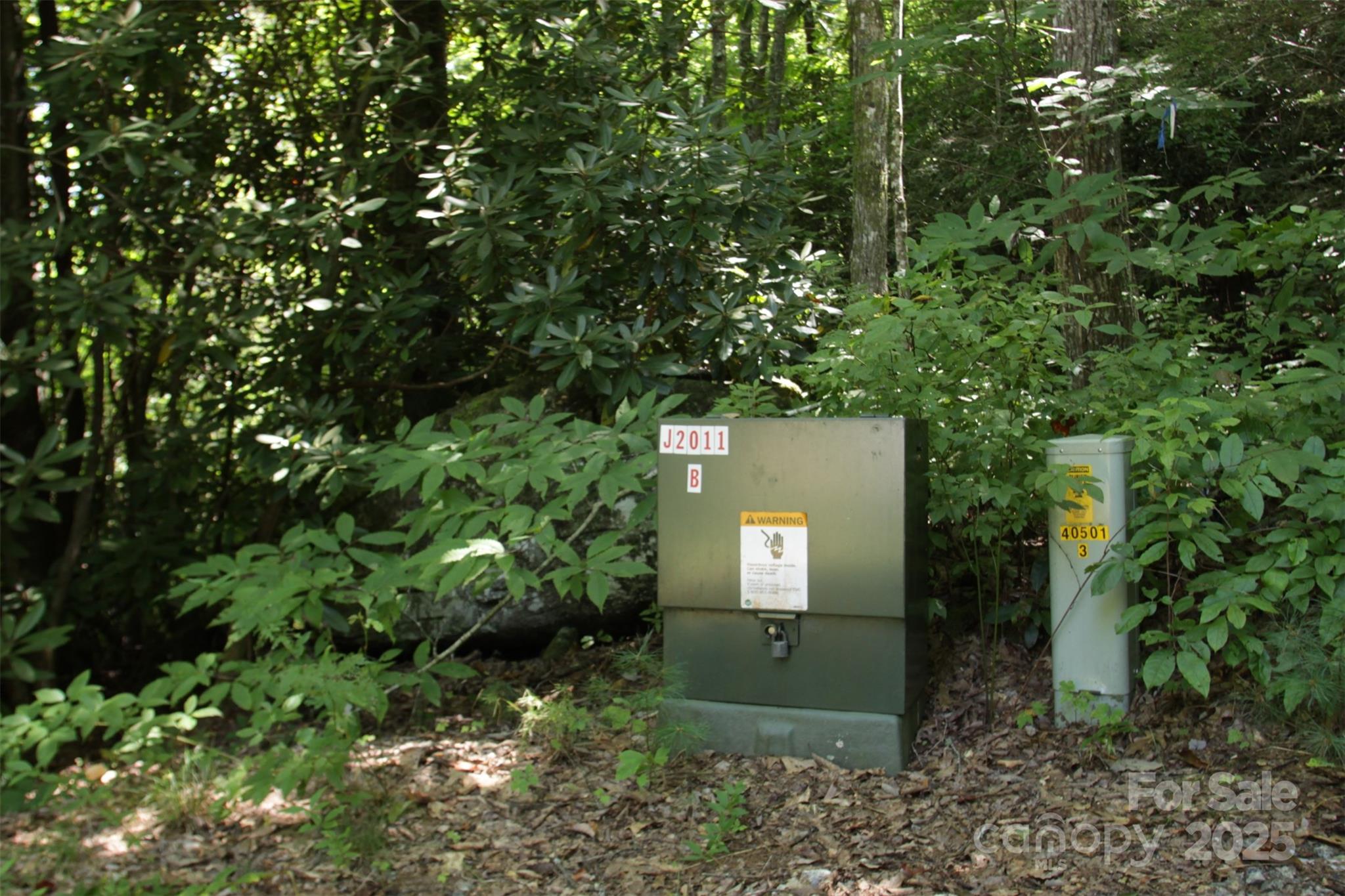 Lot 11 Silver Maple Trail Brevard NC 28712