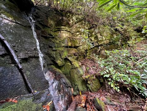 Lot 11 Silver Maple Trail Brevard NC 28712