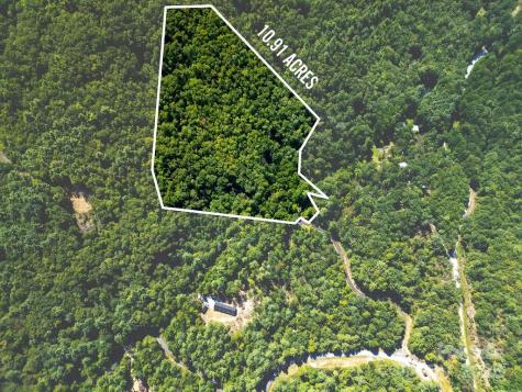 Lot 11 Silver Maple Trail Brevard NC 28712