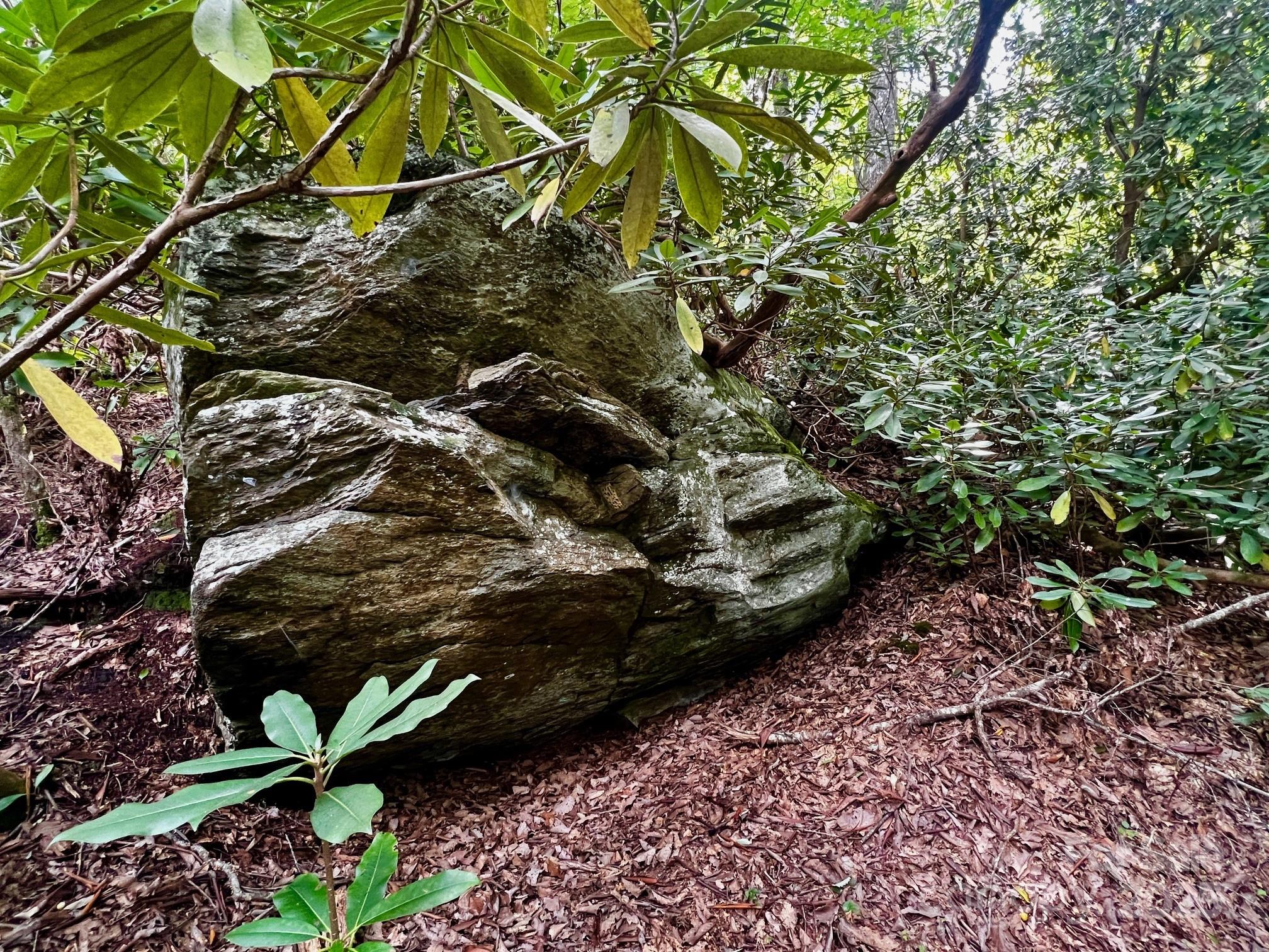 Lot 11 Silver Maple Trail Brevard NC 28712