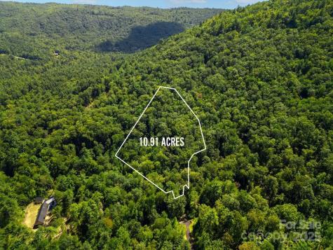Lot 11 Silver Maple Trail Brevard NC 28712