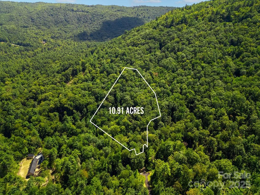 Lot 11 Silver Maple Trail Brevard NC 28712