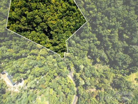 Lot 11 Silver Maple Trail Brevard NC 28712