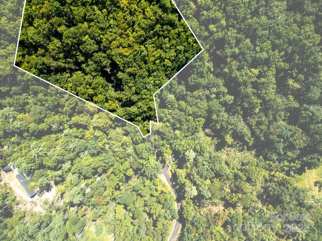 Lot 11 Silver Maple Trail Brevard NC 28712