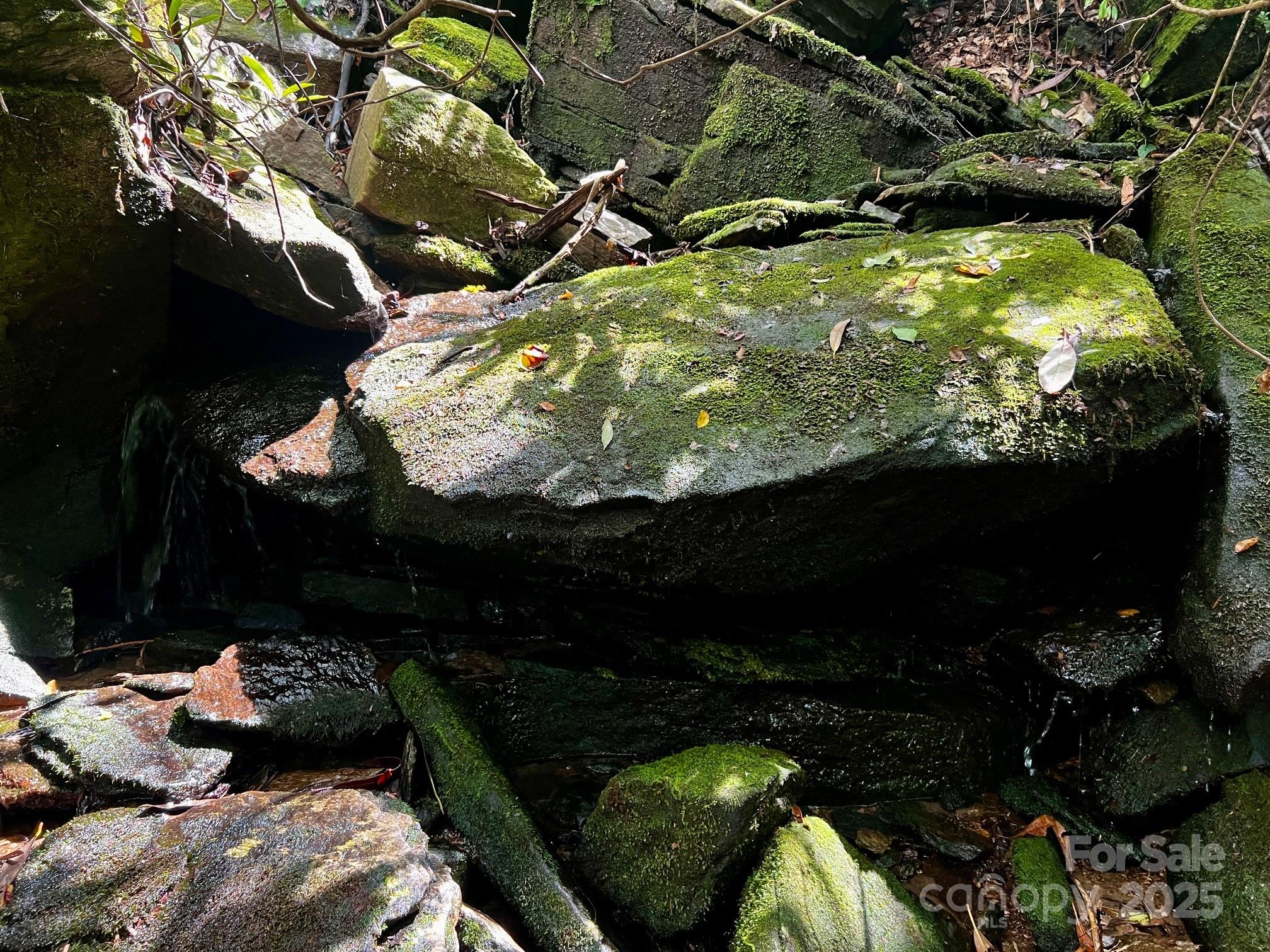 Lot 11 Silver Maple Trail Brevard NC 28712