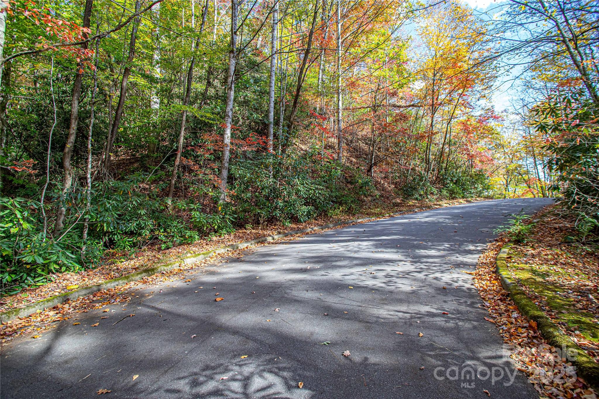 Tbd Stone Drive Brevard NC 28712