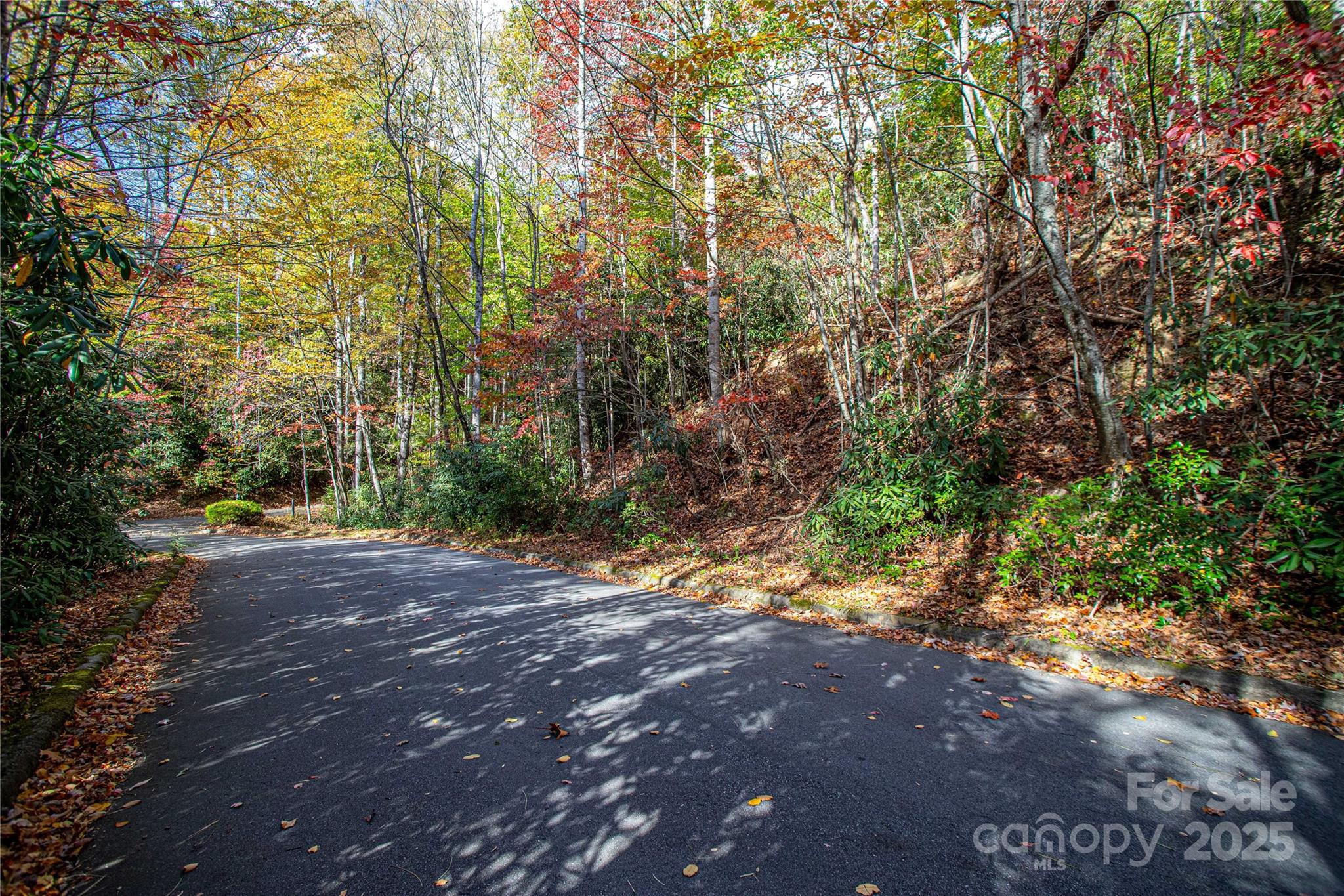 Tbd Stone Drive Brevard NC 28712
