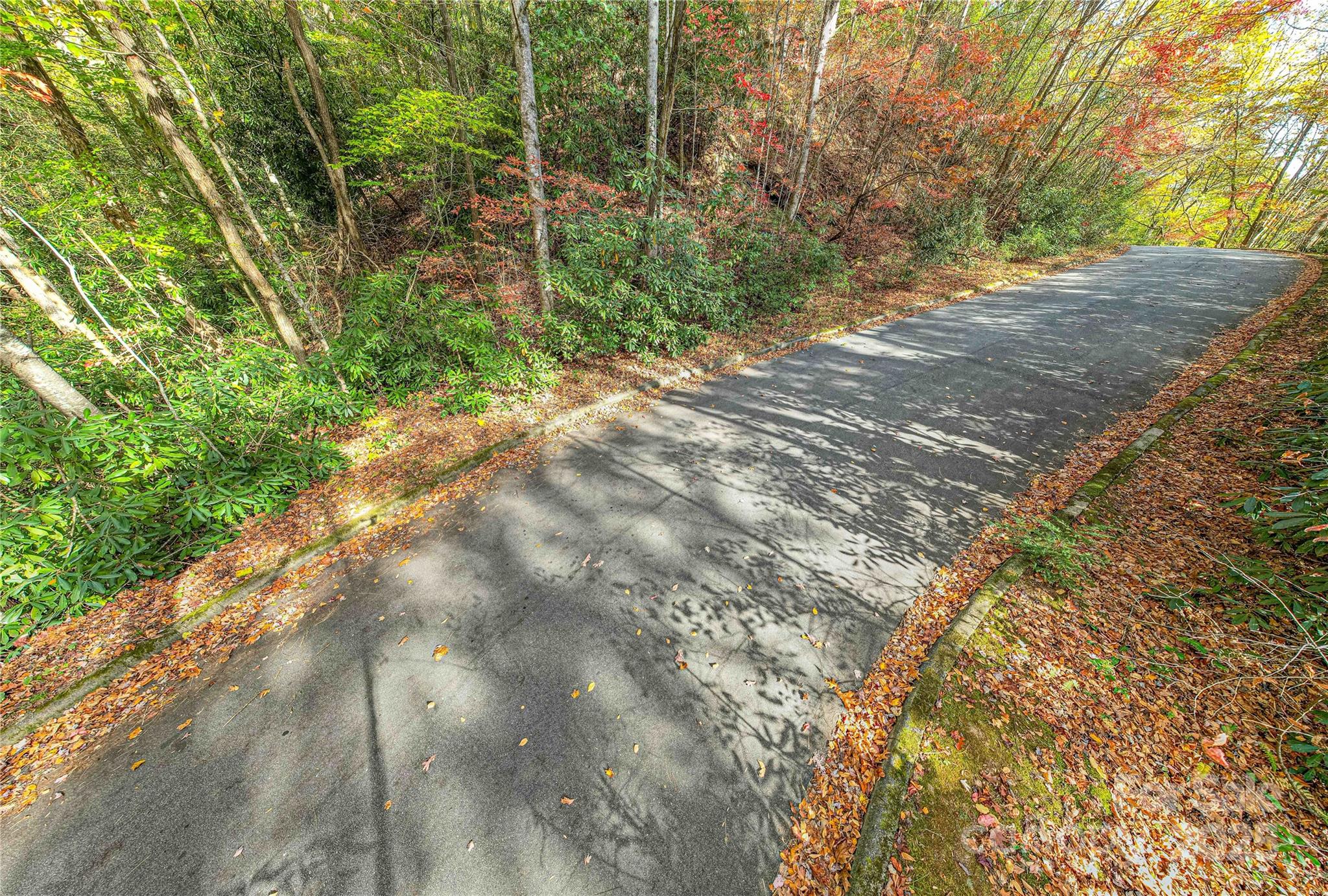 Tbd Stone Drive Brevard NC 28712