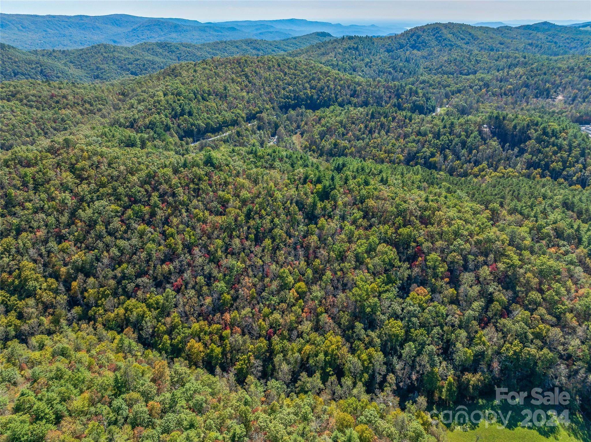 99999 Yager Farms Road Lake Toxaway NC 28747