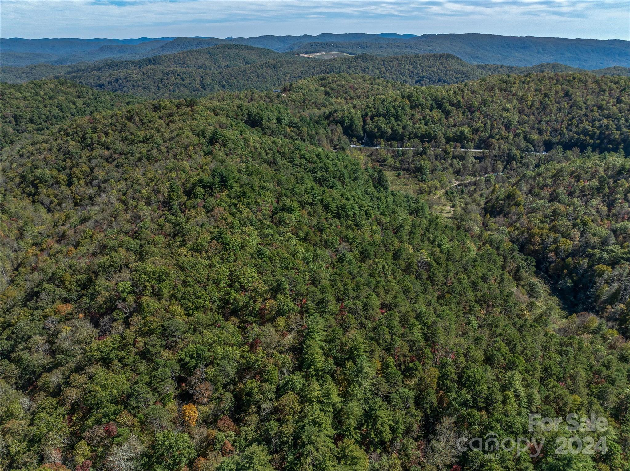 99999 Yager Farms Road Lake Toxaway NC 28747