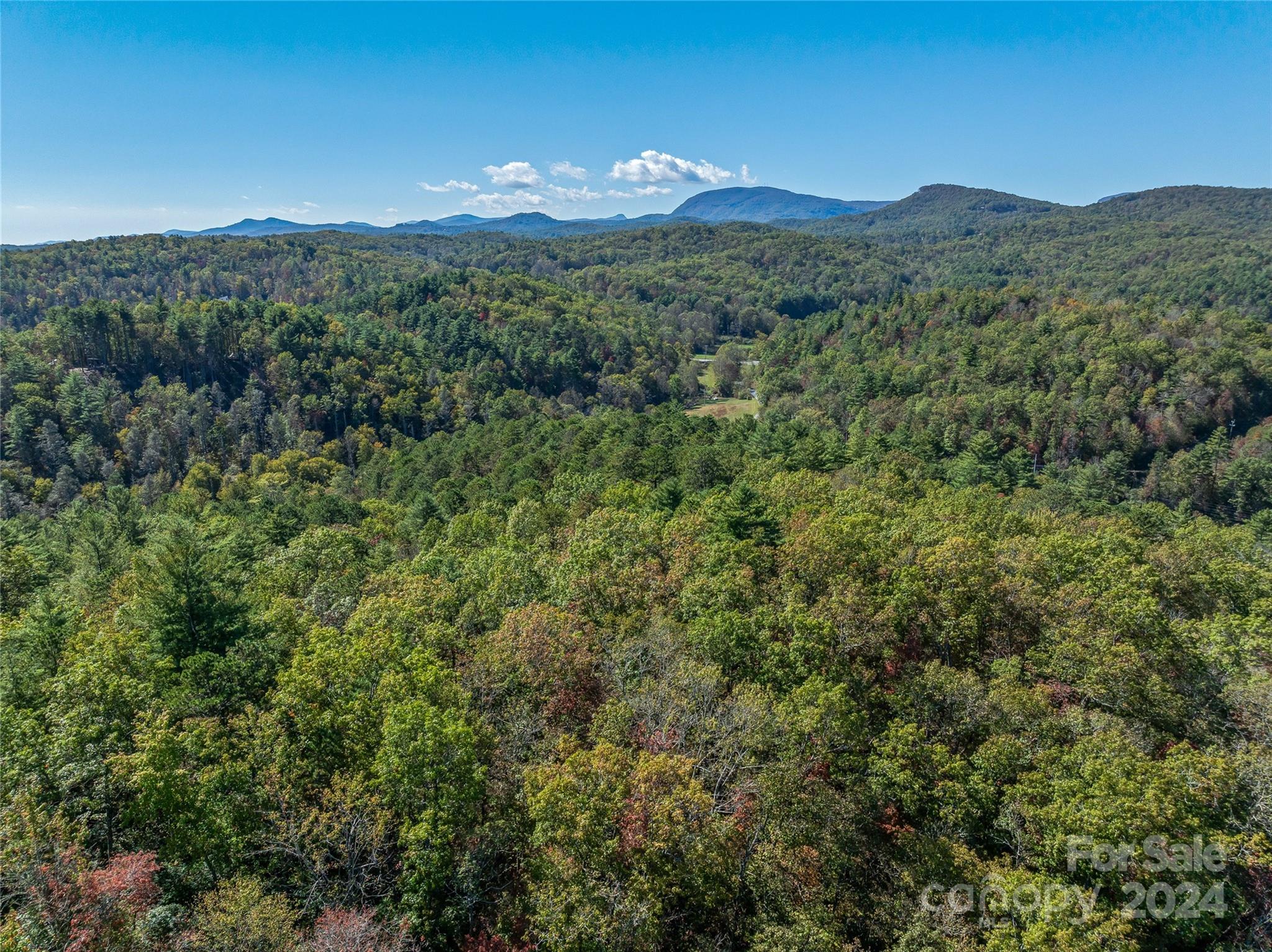 99999 Yager Farms Road Lake Toxaway NC 28747