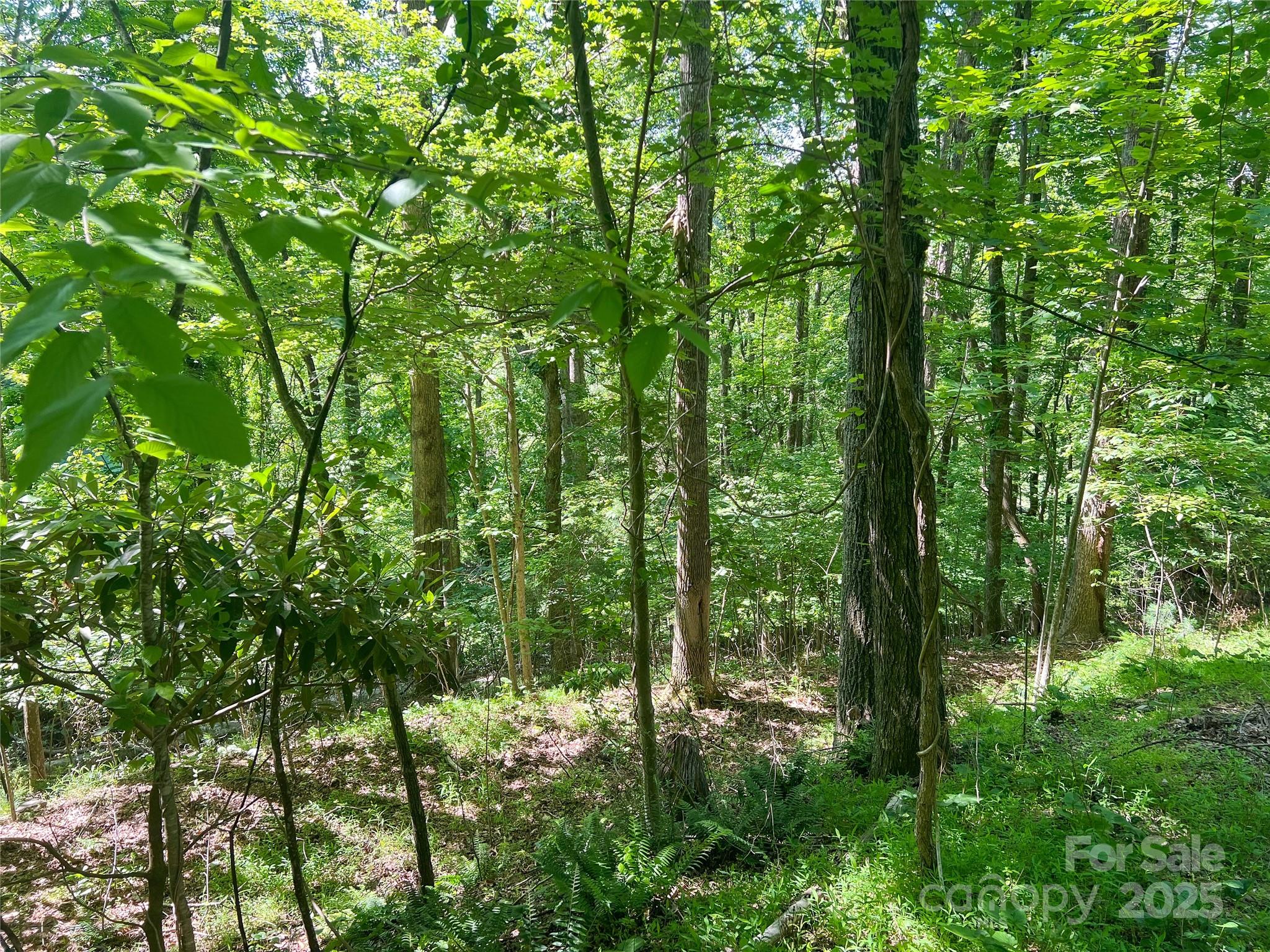 101 Chattooga Run Hendersonville NC 28739