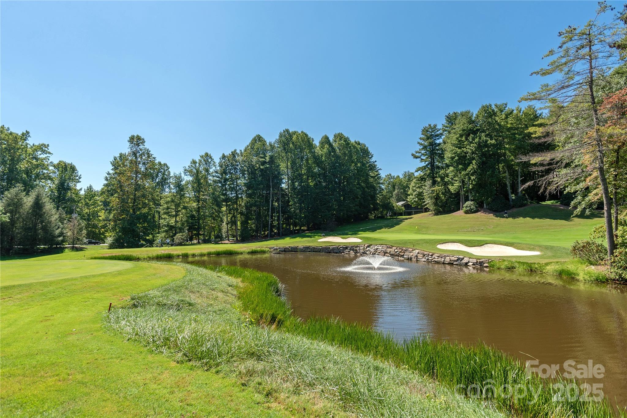 101 Chattooga Run Hendersonville NC 28739