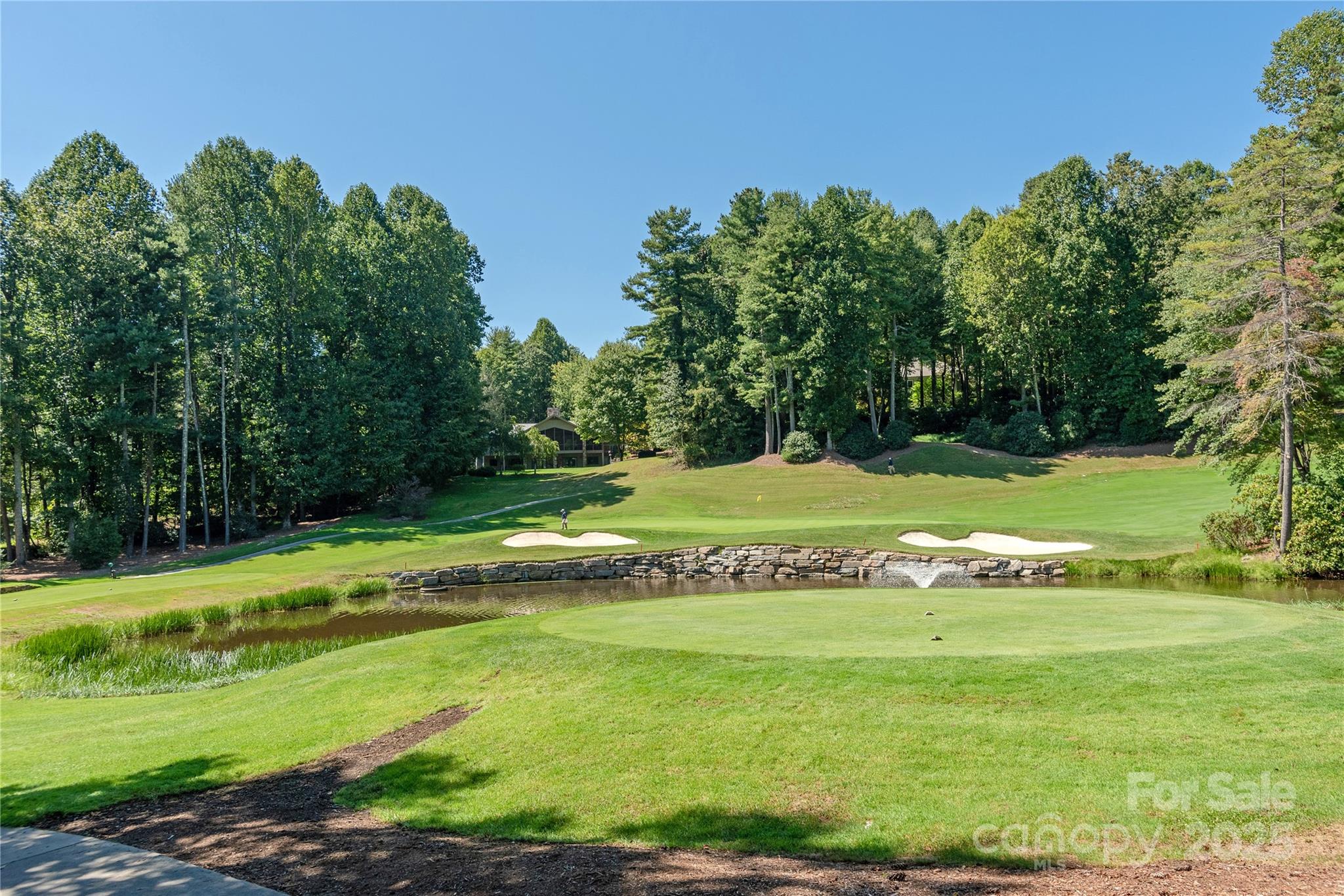 101 Chattooga Run Hendersonville NC 28739