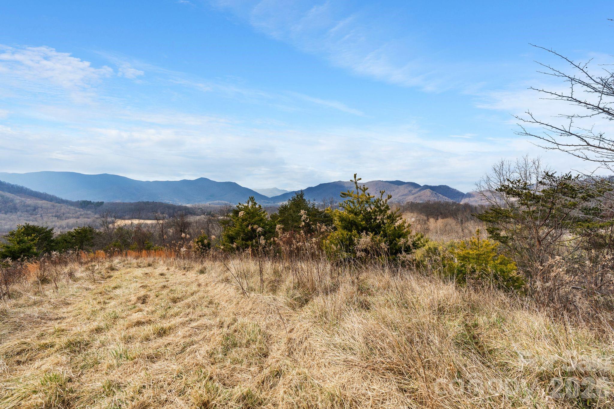 999 Wilson Drive Canton NC 28716