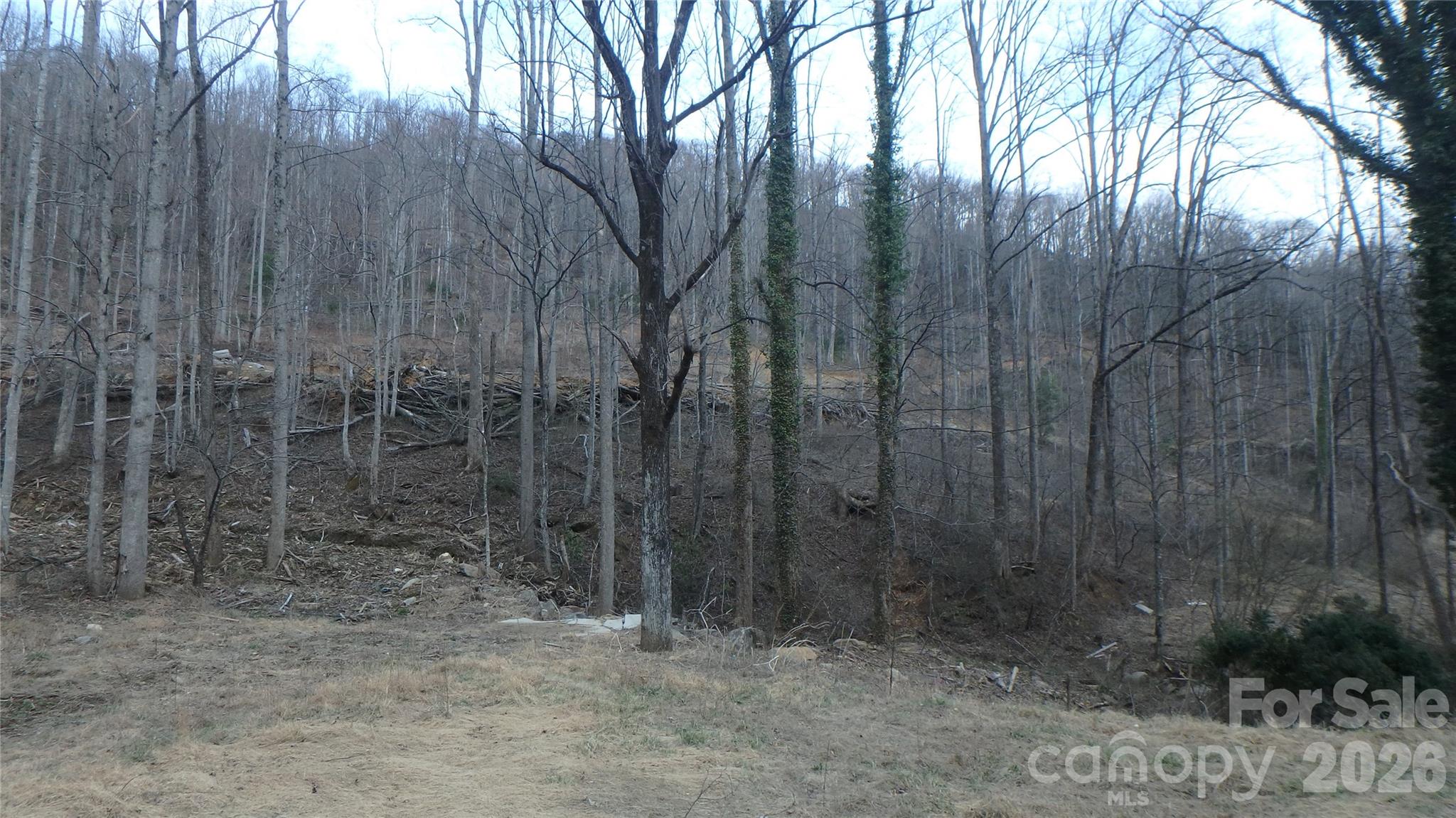 4696 Nc Highway 226a Highway Marion NC 28752