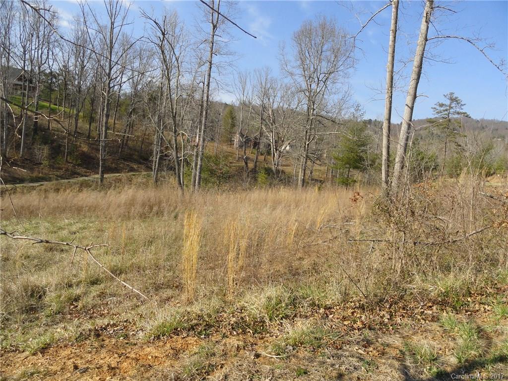 68 French Willow Drive Asheville NC 28804