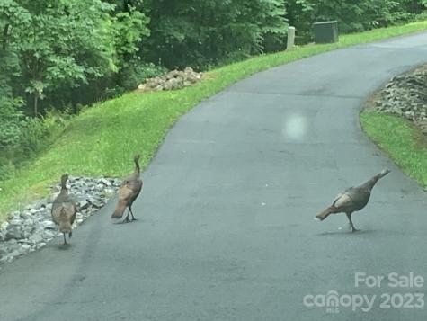 Lot 6 Deep Spring Road Sylva NC 28779