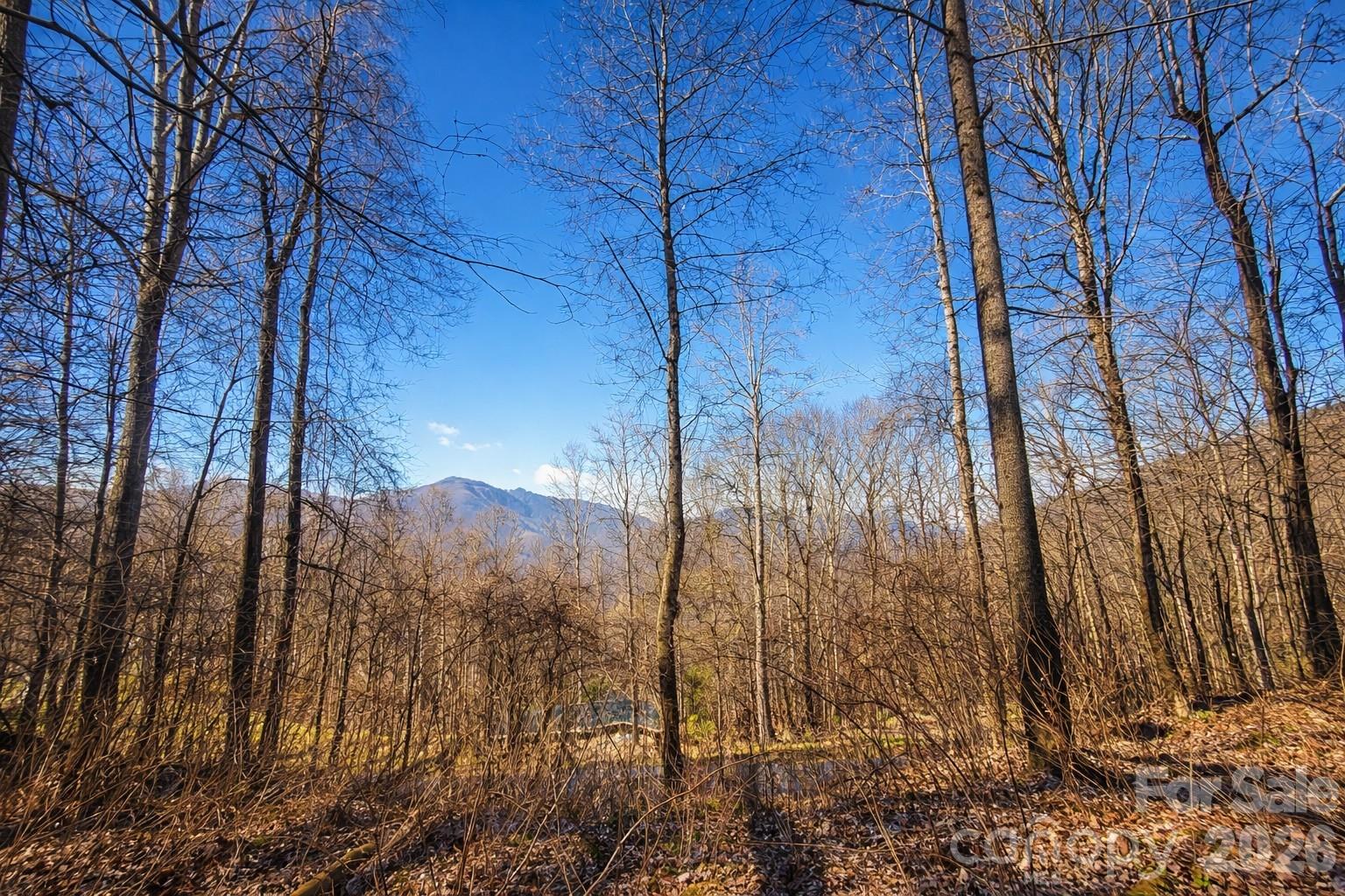4 Buckeye Road Maggie Valley NC 28751