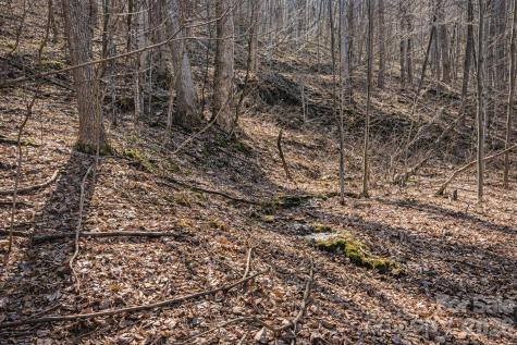 4 Buckeye Road Maggie Valley NC 28751
