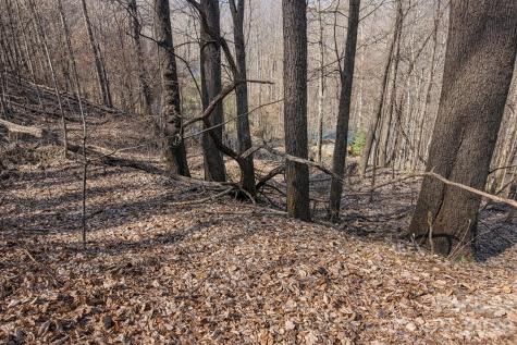 4 Buckeye Road Maggie Valley NC 28751