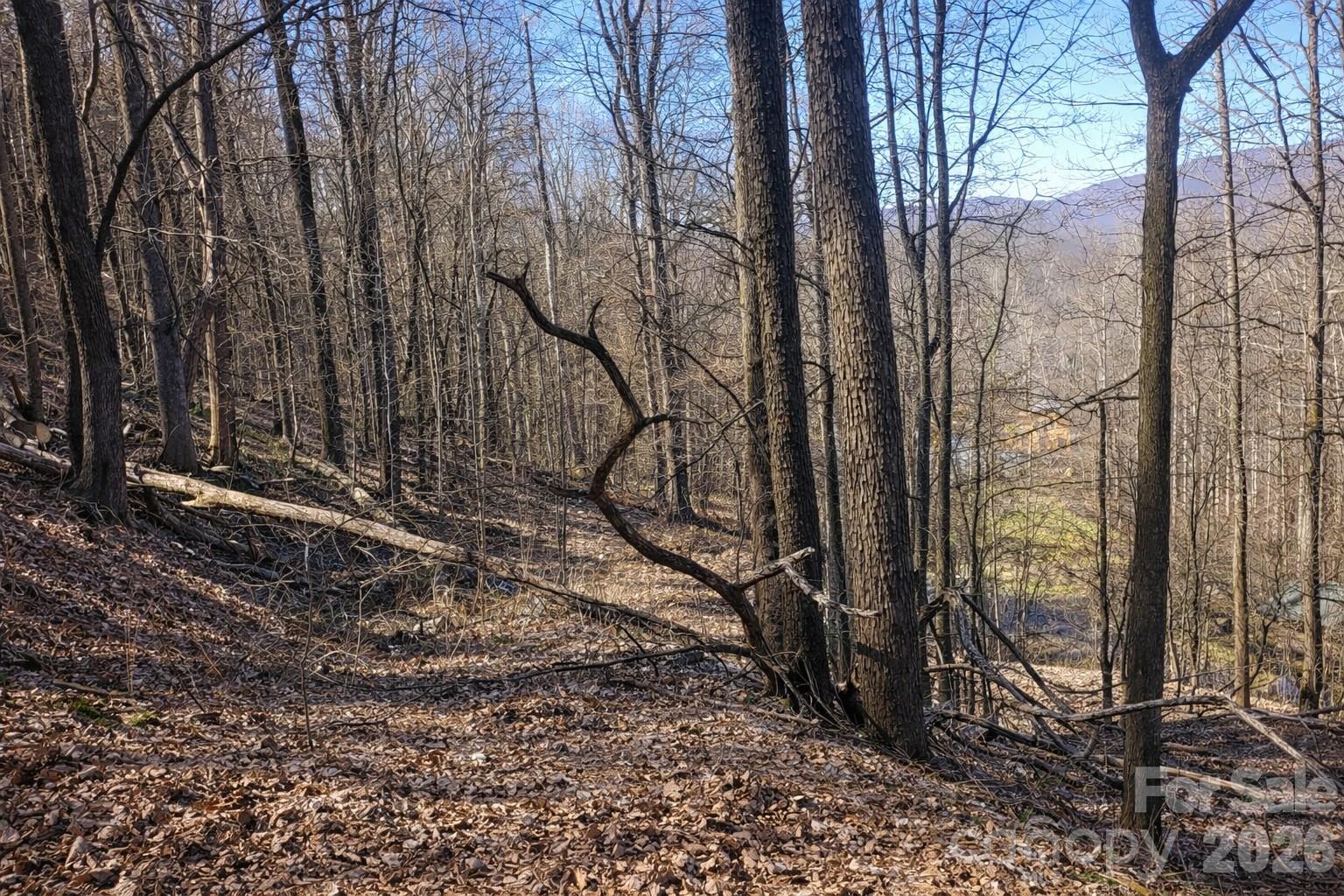 4 Buckeye Road Maggie Valley NC 28751