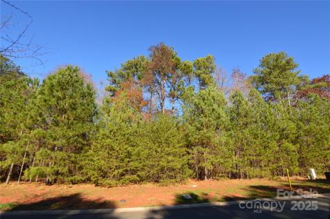 3228 Ashwood Park Drive Belmont NC 28012