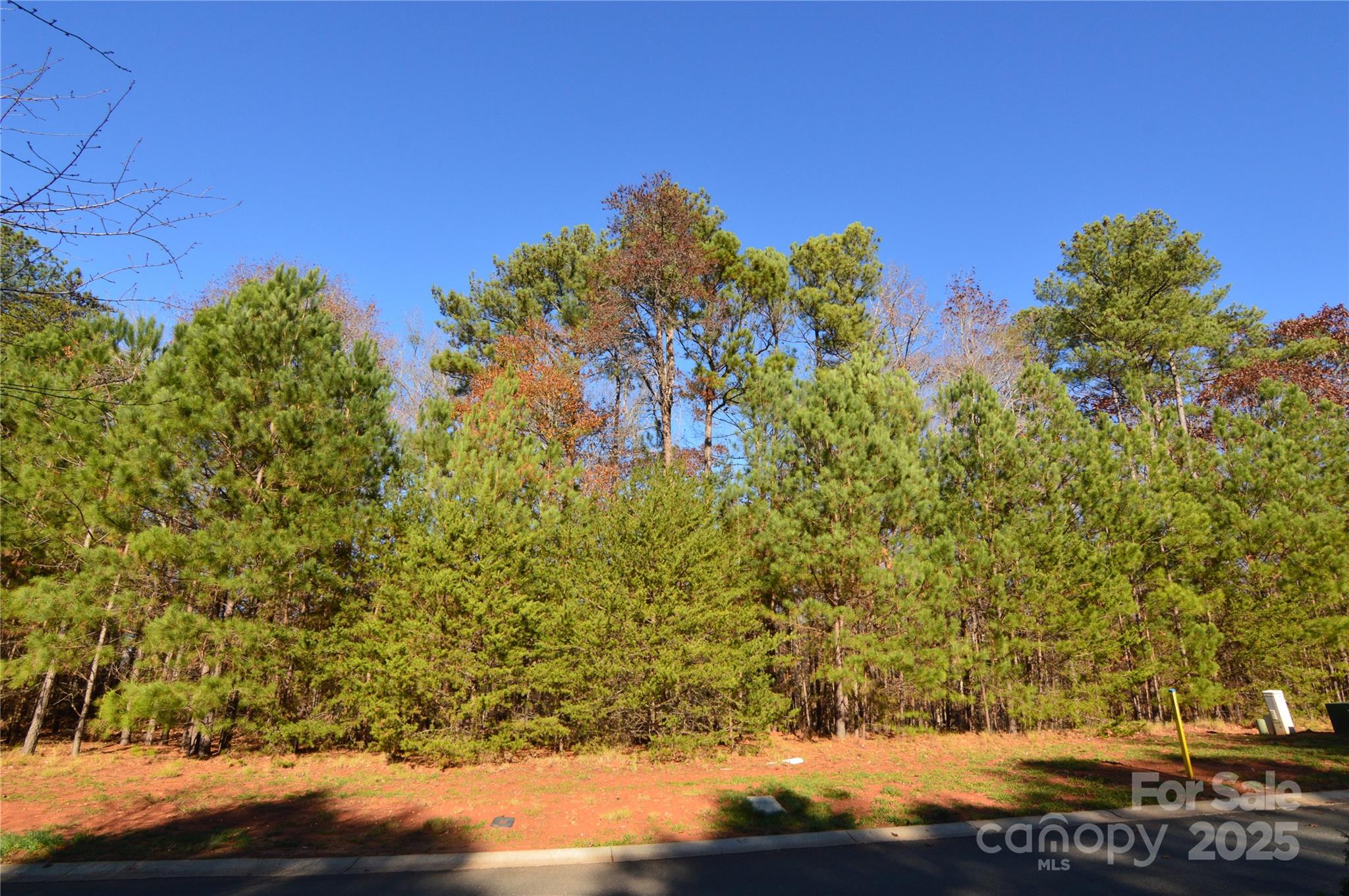 3228 Ashwood Park Drive Belmont NC 28012
