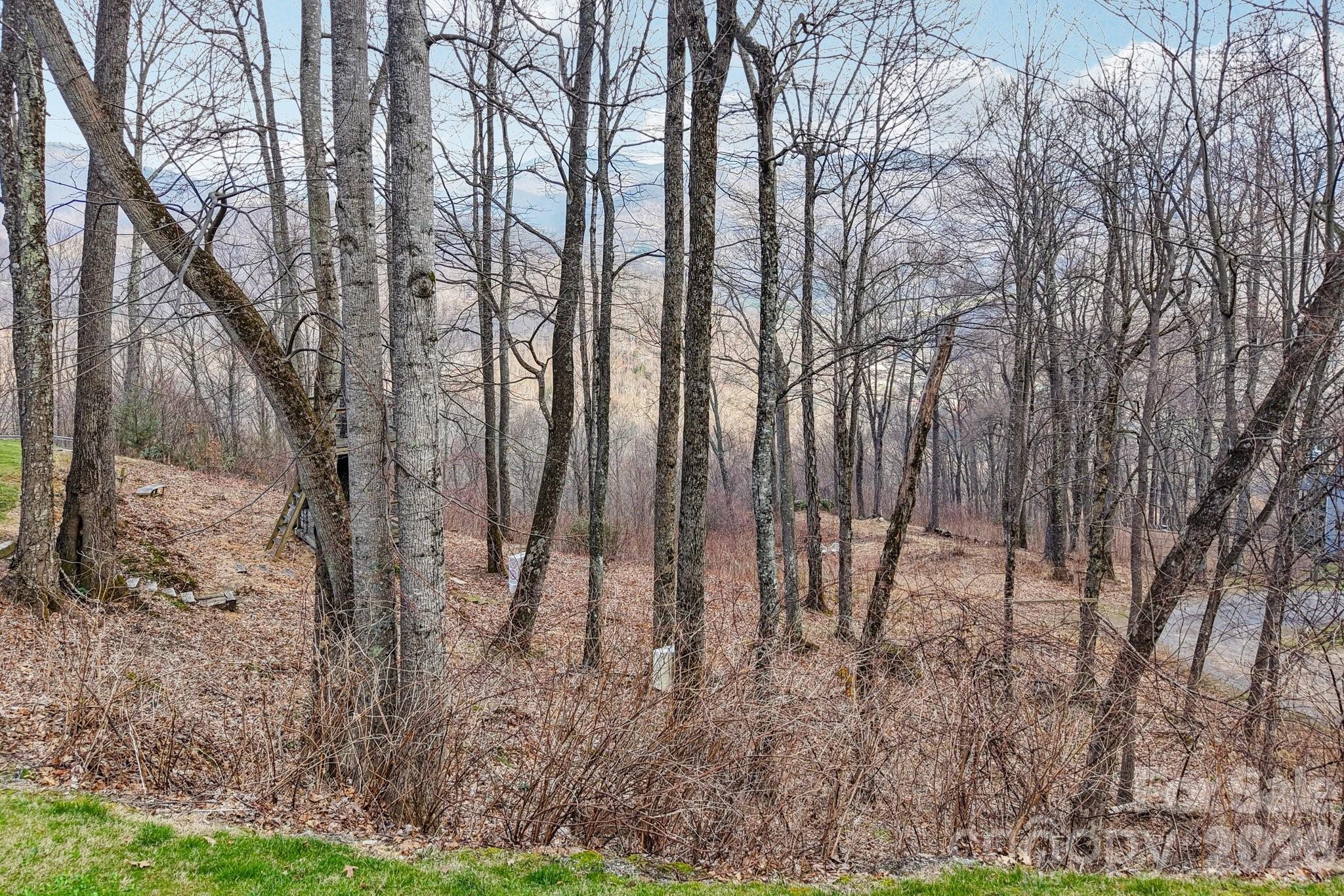 Lot 23 Robin Roost Road Maggie Valley NC 28751
