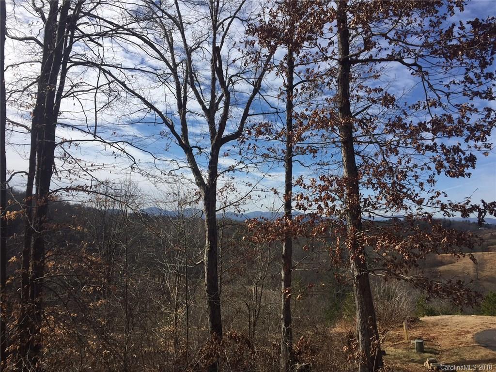 64 Sweet Fern Parkway Asheville NC 28804