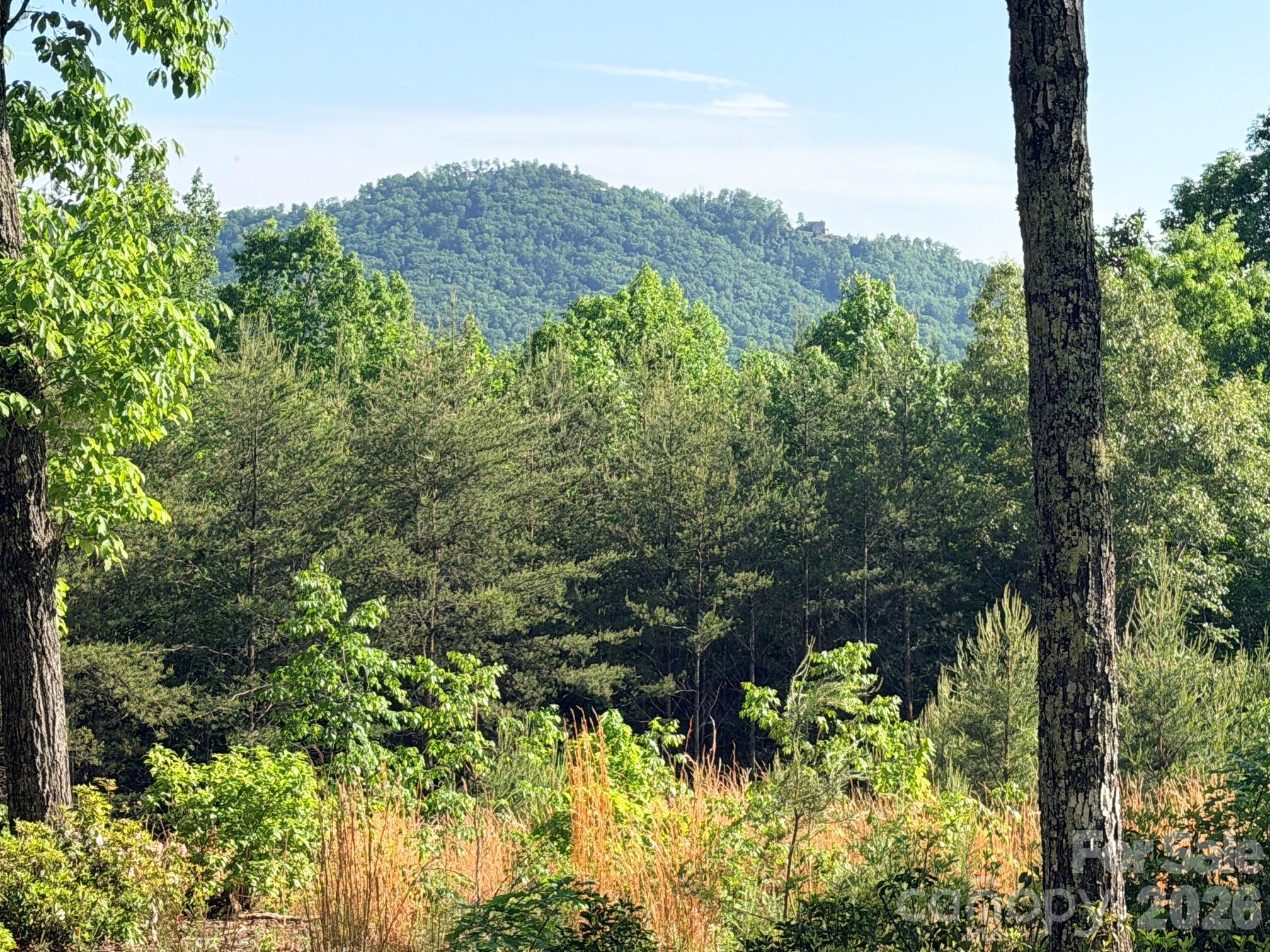Lot 11 Brookside Parkway Lake Lure NC 28746