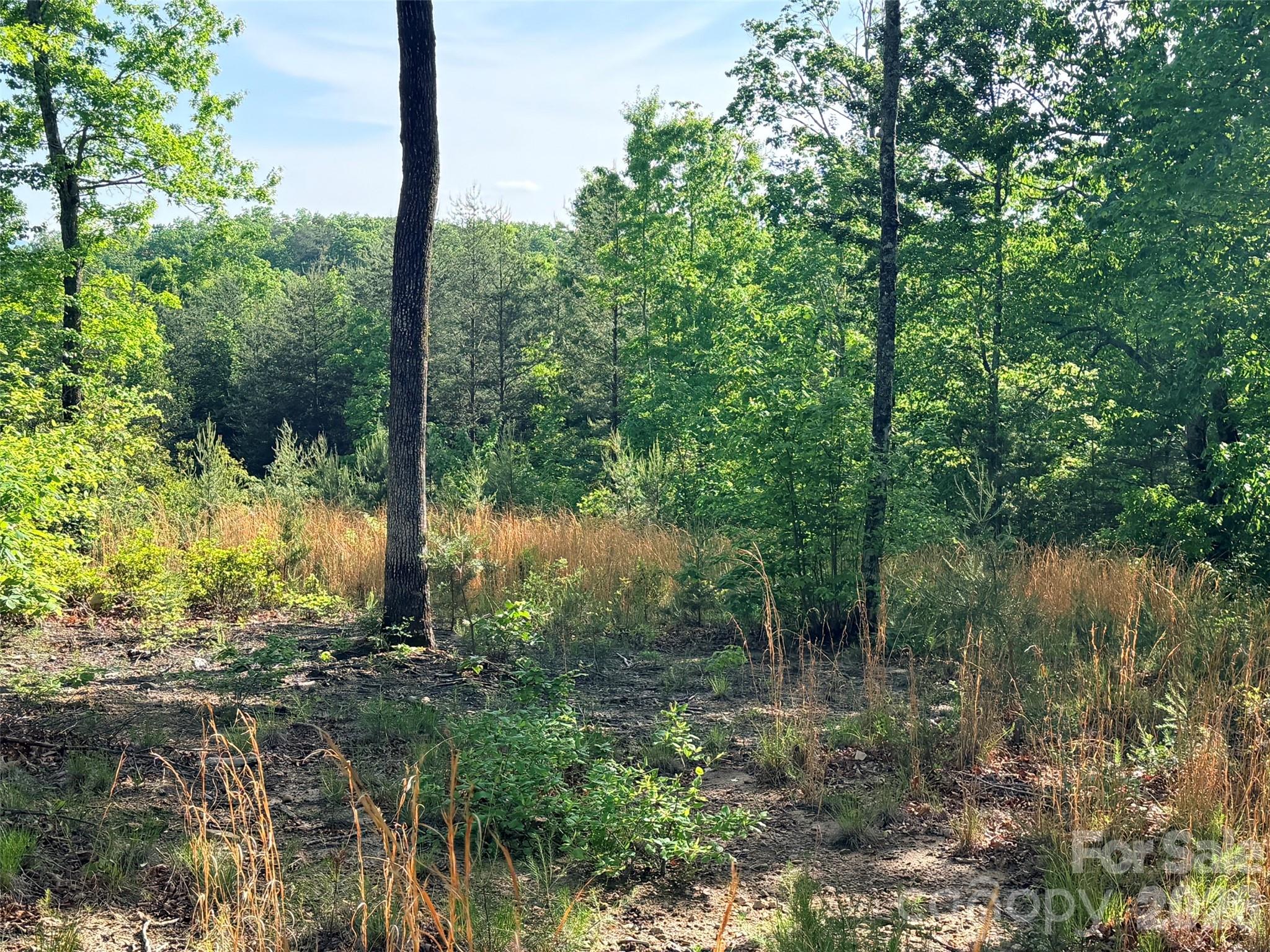 Lot 11 Brookside Parkway Lake Lure NC 28746