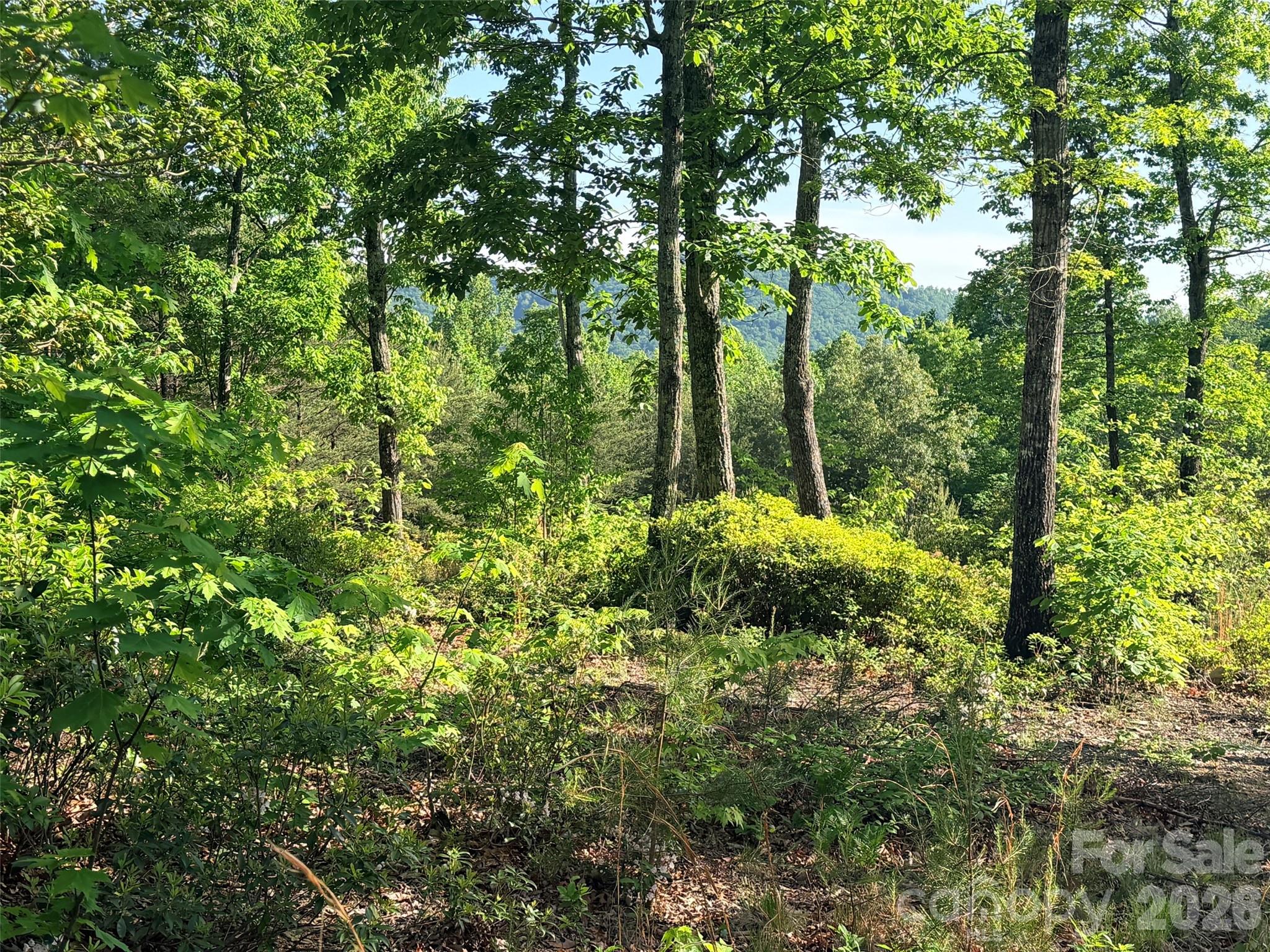 Lot 11 Brookside Parkway Lake Lure NC 28746