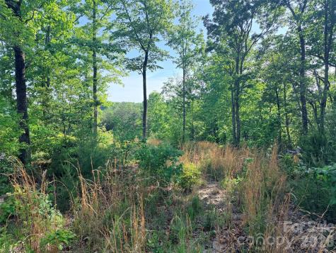 Lot 11 Brookside Parkway Lake Lure NC 28746